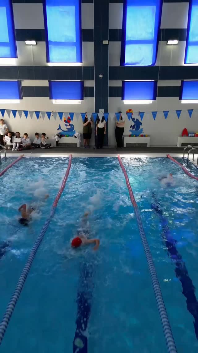 Young Swimmers Showcase Their Skills at the Cheerful Dolphins Competition