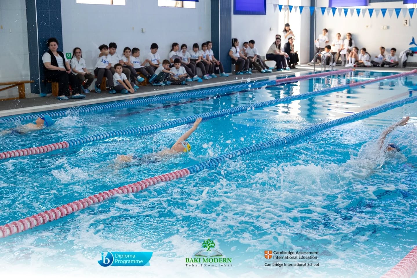 Bakı Modern Təhsil Kompleksində “Şən Delfinlər” üzgüçülük yarışı keçirilib