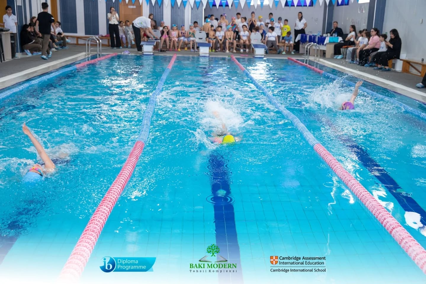 Bakı Modern Təhsil Kompleksində “Şən Delfinlər” üzgüçülük yarışı keçirilib